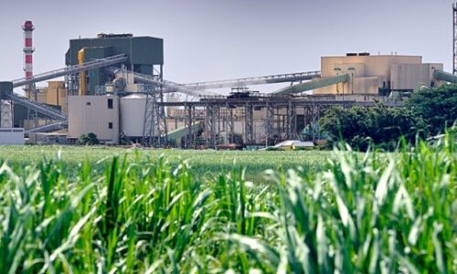 Açúcar e Álcool Açúcar e Álcool