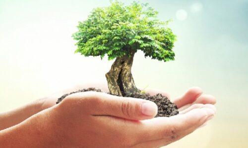 Noções de Meio Ambiente